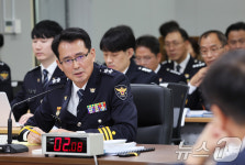 [국감]질의에 답변하는 모상묘 전남청장