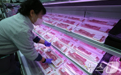 김장 김치에 수육을 맛 볼 수 있을까…돼지고기 16%↑
