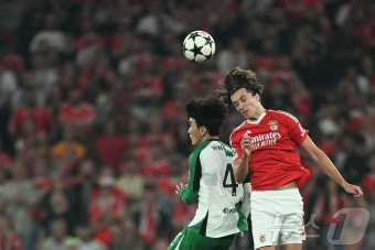'황인범 공수 활약' 페예노르트, 벤피카 3-1 격파…UCL 2연승