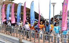 강진 마량놀토수산시장 11월 9일 폐장…500대 드론쇼