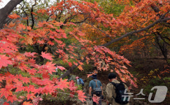 북한산에서 즐기는 단풍놀이