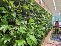 식물로 꾸며진 친환경 벽면