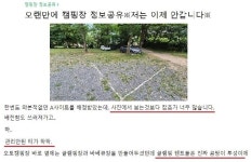 캠핑족 울리는 캠핑장 사진발…캠핏·야놀자 등 플랫폼이 직접 관리