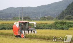 전통주 주세 경감 확대…쌀 소비 감소에 가공산업 육성 대안