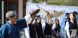 대전문화재단 매사냥 체험 운영