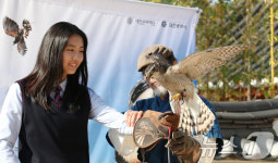 매사냥 체험하는 학생