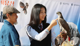 신기한 매사냥 체험