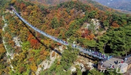 단풍 명소 소금산밸리…원주 간현관광지 11월 1~3일 연장 운영