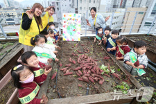 옥상 텃밭은 소중한 생태체험학습장