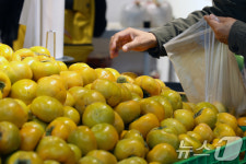 어떤 단감이 좋을까?