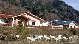 북방 두메산골 특색 살려…北 백암군 새집들이 진행