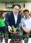 화순 난 명품 박람회 9~10일 하니움문화센터…자생란 1000점 출품