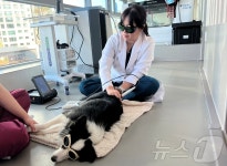 여기로양한방동물병원, 과천에 개원…내·외과, 치과, 재활 진료