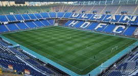 문수축구경기장 잔디 교체 완료…23일 울산HD 홈경기