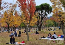 포근한 주말, 부산시민공원 늦가을 나들이객 북적