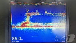 금성호 수중수색 해군 ROV 시야 고작 50㎝…심해잠수사 9명 대기