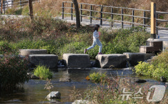 복합문화공간으로 재탄생한 세곡천 수변감성도시