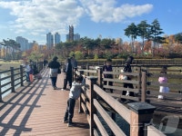 가을 즐기기 좋은 날…포근한 날씨에 부산시민공원 북적