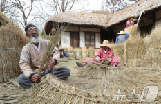 [뉴스1 PICK] 새 옷으로 갈아입는 초가집…용인 한국민속촌 이엉잇기 한창