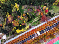 광주 북구, 깊어가는 가을