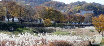 천변 산책로 걸으며 가을 정취 만끽
