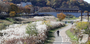 천변길 따라 가을 산책