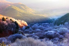 인제 비밀의 정원