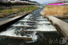 농어촌공사 주최 어도 사진 공모전서 전희철씨 대상