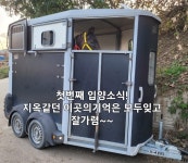끝나지 않은 폐마 목장 이야기…말들의 새 가족을 찾습니다