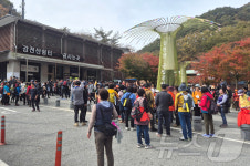 순창군 강천산군립공원, 가을 단풍철 방문객 16만 돌파