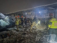 공장·축사지붕 붕괴·2천 세대 정전…충남권 폭설·강풍 피해 잇따라(종합)