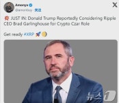 2달러 뚫은 리플, 5달러 넘을 수도…리플 CEO, 암호화폐 차르 물망