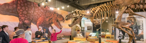 캐나다, 공룡 화석 대 발굴…새로운 서식지 범위 밝혀져[통신One]