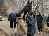 달릴 수 없는 말도 삶을 누릴 자격 있다…동물단체, 추모제 열어