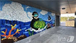 플라스틱 병뚜껑 3650㎏로 만든 돌고래·벽화 보러 오세요