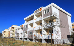 北 함북 조양·붉은별농장서 새집들이 진행…행복의 보금자리