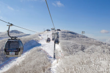 ‘우수한 눈의 질과 다양한 즐길거리’ 하이원스키장 오늘 개장