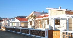 북한 개성시 동내농장 새집들이…현대성과 미학성 보장