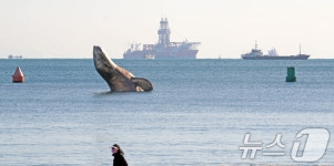 대왕고래 프로젝트의 운명은?