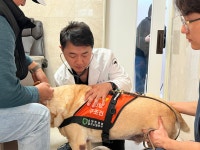 VIP동물의료그룹, 농식품부 장관상 수상…수의료 발전에 기여