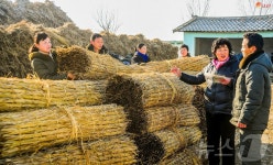영농 자재 마련하는 北 신의주시 농장 노동자들