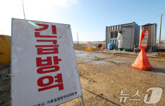 경기 화성 토종닭 농장 고병원성 AI 확진…올겨울 14번째