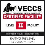 VIP동물의료센터 청담점, 국제 수의응급중환자의학회 공식 인증