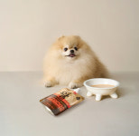 [유통人터뷰] 건강과 안전에 집중한 hy 펫푸드…시니어 제품군 늘릴 것