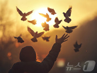 [2025 희망]힘찬 비상, 희망이 넘치는 새해를 향해