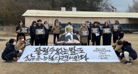 개식용 종식법 통과·말 복지 이슈 부상…올해의 동물 3대 이슈는