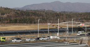 새떼·활주로·안전거리…위험요소 다 갖춘 울산공항 괜찮나