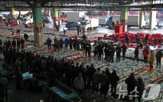 부산공동어시장 새해 첫 경매