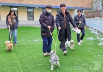 대한수의사회, 반려마루서 산책 봉사…자가진료는 동물학대 유발