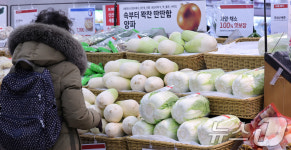 설 앞두고 배추 59%·무 77% 올라
